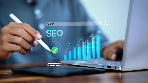 SEO visibilidad organica